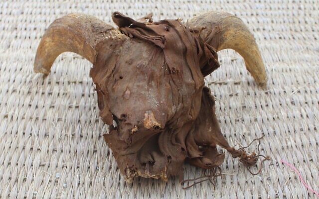 This handout photo shows a mummified ram's head found a temple to Pharaoh Ramses II at Abydos, southern Egypt. (Egyptian Ministry of Tourism and Antiquities)