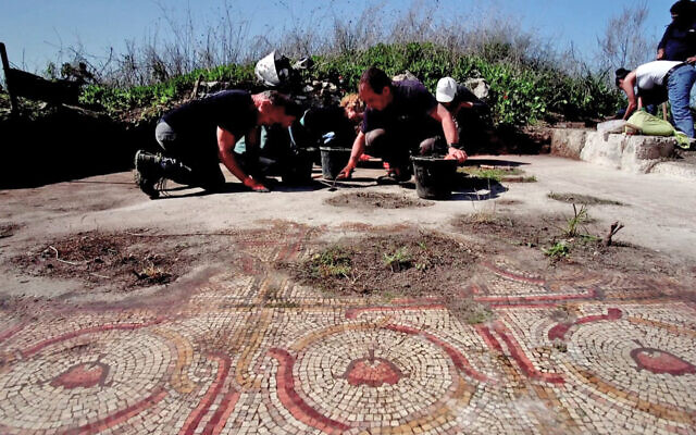 Volunteers work to clear the flower mosaic at Horvat El-Bira in Shoham on March 14, 2023, on Good Deeds Day. (Emil Algam/IAA)