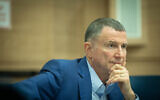 Likud MK Yuli Edelstein leads a Defense and Foreign Affairs Committee meeting at the Knesset, on February 12, 2023. (Yonatan Sindel/Flash90)