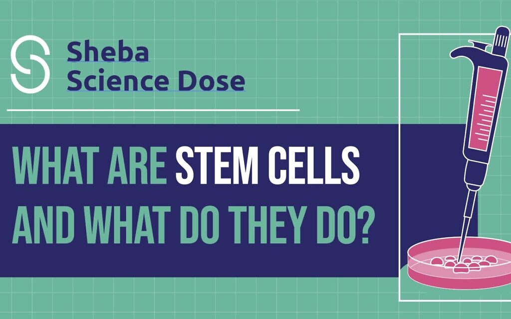 SCIENCE DOSE - Sponsored Content | The Times of Israel - Vimarsana News