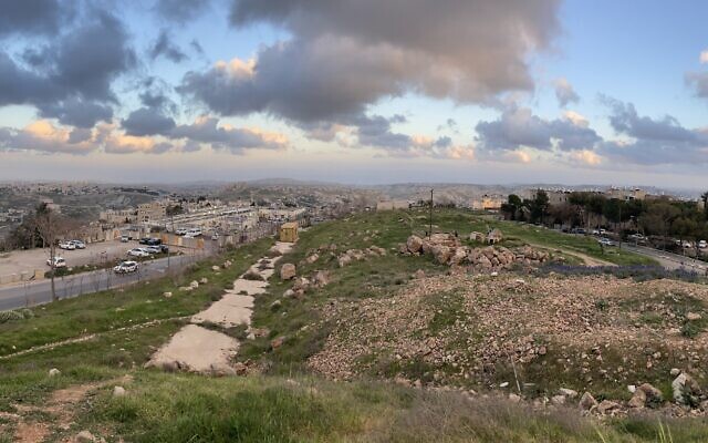 The site, east of, and below the main areas of lupine blooms, earmarked for building a police station, on Mitzpe-Tel in southeast Jerusalem, March 6, 2023. (Sue Surkes/Times of Israel)