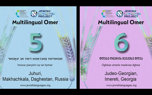 The HUC-JIR Jewish Language Project’s multilingual Omer counter highlights Jewish linguistic diversity by presenting each of the 49 days in a different language or dialect. (HUC-JIR via JTA)