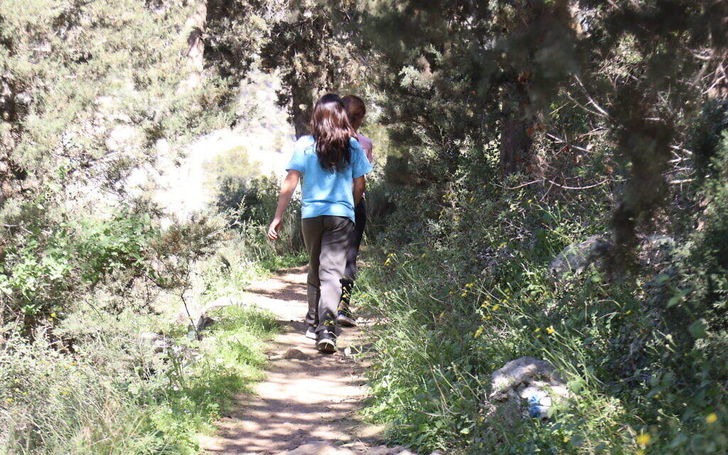 Walking the Cedar Trail in the Jerusalem Forest. (Shmuel Bar-Am)