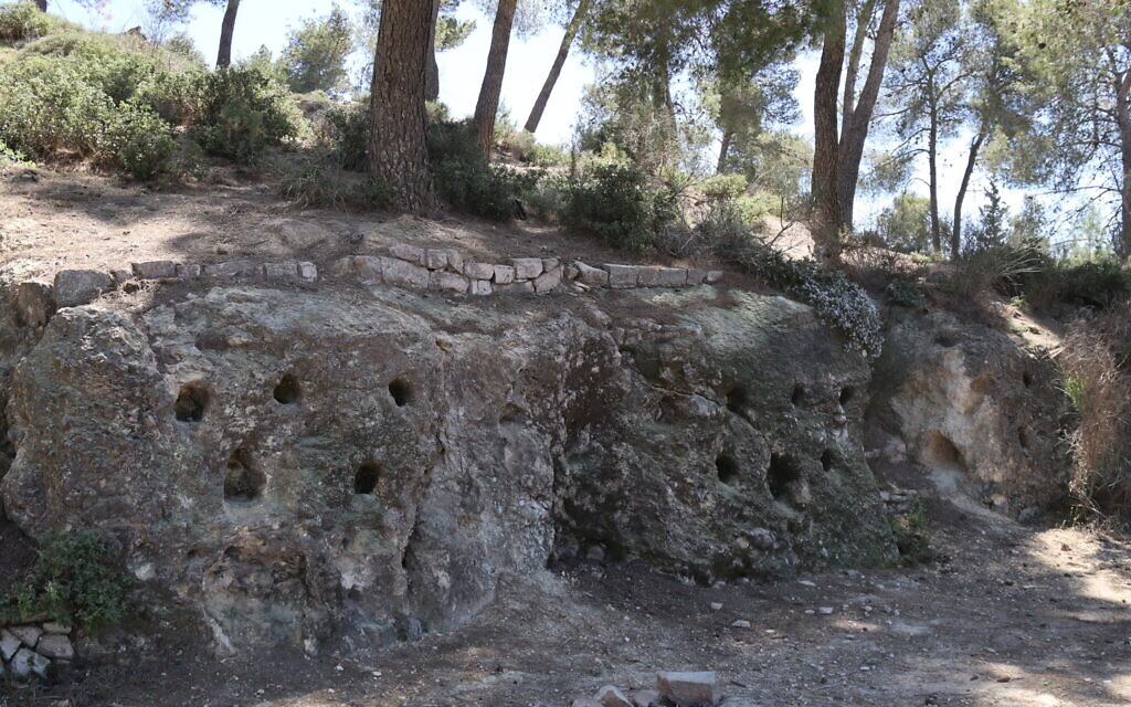 Columbaria, or dovecotes, were used as far back as the Greek and Roman eras in Jerusalem to breed the birds, and can be seen here carved into the Kerem Overlook, also called Hirbet Hamama in Arabic, which means 'Dove Ruins.' (Shmuel Bar-Am)
