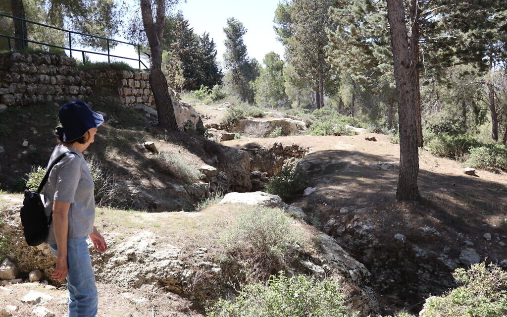 Exploring the Turkish World War I-era trenches near the Cedar Trail in the Jerusalem Forest. (Shmuel Bar-Am)