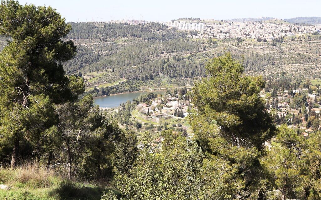 A sweeping view from the Cedar Trail in the Jerusalem Forest includes the Beit Zayit reservoir. (Shmuel Bar-Am)