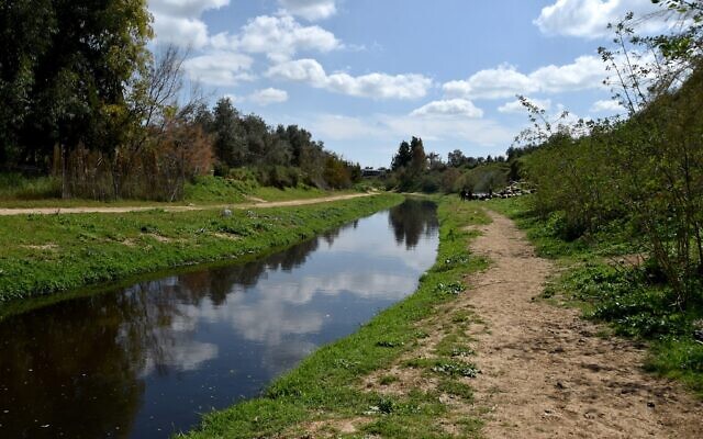 A cleaned-up section of Wadi Gaza. (UNDP/PAPP image bank -- Shareef Sarhan)