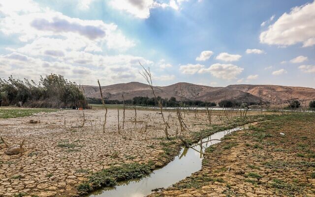 Illustrative: A stream in Yeruham Park in southern Israel, October 21, 2021. (Yossi Aloni/Flash90)