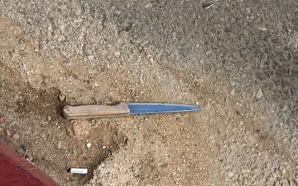 world News  Police: Palestinian shot dead after trying to stab officers at West Bank checkpoint