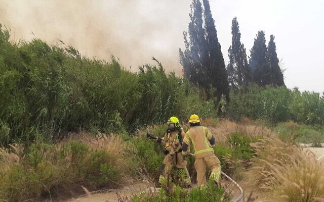 Firefighters tackle a forest fire at Segula Junction on May 22, 2023. (Fire and Rescue Service)