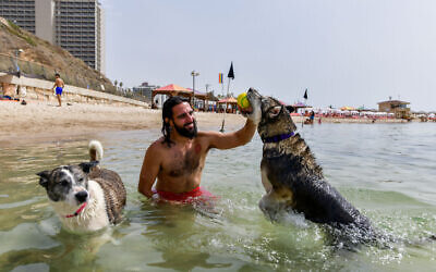 Israelis enjoy the beach on a hot summer day in Tel Aviv, June 2, 2023. (Avshalom Sassoni/Flash90)
