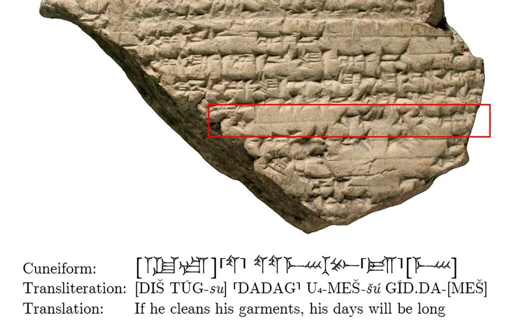A selection of Akkadian cuneiform translated with AI. (courtesy, Gai Gutherz)