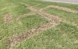 A swastika cut into the grass outside the home of an Oklahoma City man. (Screen capture: KOCO News 5 ABC; used in accordance with Clause 27a of the Copyright Law)