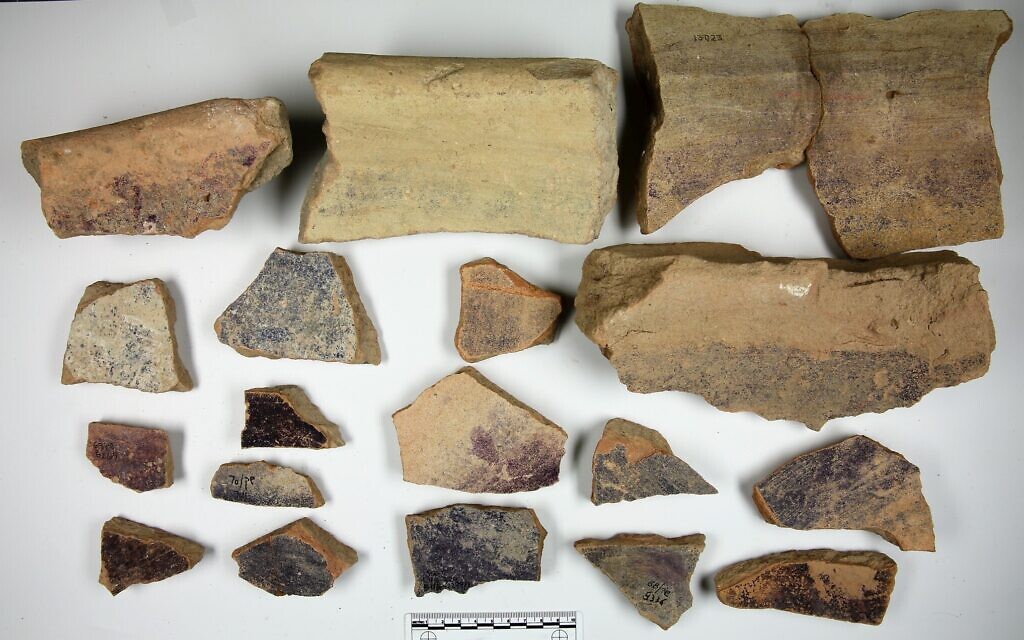 Pieces of the ceramic vats that were used to hold the purple dye excavated at Tel Shiqmona still hold traces of the color. (courtesy Golan Shalvi)