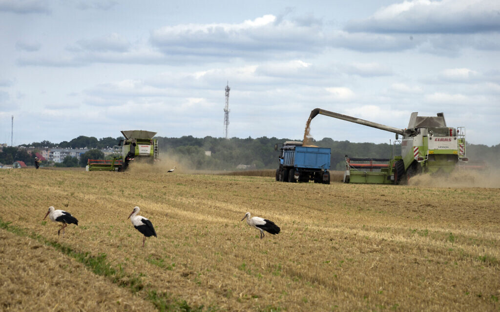 world News  Russia halts Ukraine grain-shipping deal, in blow to global food security