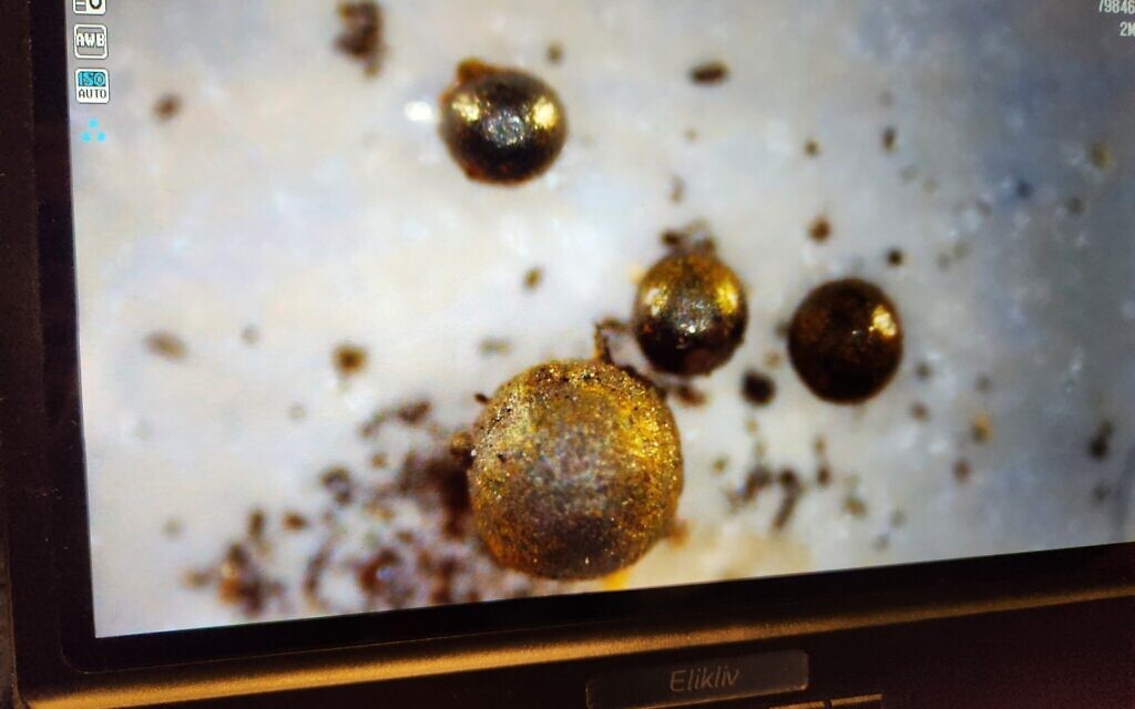 Spherules showing up on the microscope image of magnetic particles taken from the ocean floor along the most likely course of a possibly interstellar meteor that exploded off the coast of Papua New Guinea in 2014. (Courtesy of Avi Loeb)
