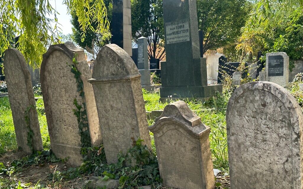 Ladislav Trajer says the community of Novi Sad, Serbia, is working to clean up the city's Jewish cemetery. (Larry Luxner/ JTA)