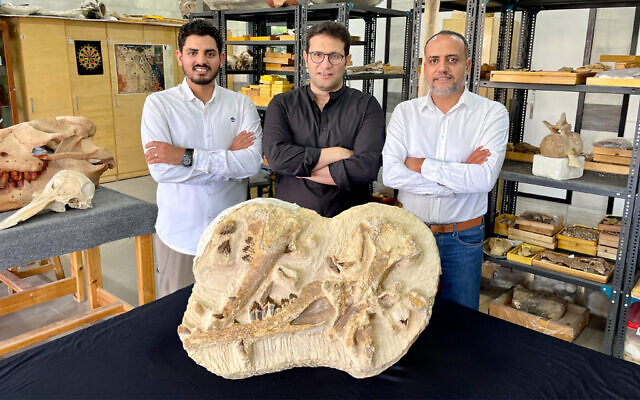 This handout picture provided by the American University in Cairo (AUC) on August 10, 2023 shows researchers with fossils of a newly discovered species of extinct whale. (AFP/HO/American University in Cairo [AUC])