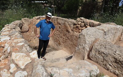 Steve Gray, a member of Kibbutz Hanaton, stands in an ancient mikveh moved to the kibbutz. (Shmuel Bar-Am)