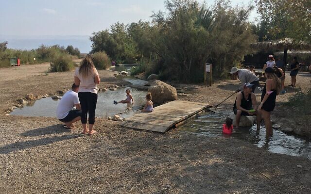 An undated photo of visitors bathe in one of the pools of the Einot Tsukim oasis in the Judean Desert. (Courtesy of the Israel Nature and Parks Authority)