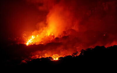 A wildfire burning through the night. (Cathy Withers-Clarke, iStock/Getty Images)