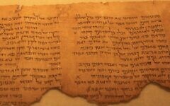 Section of the Pesher Habakkuk scroll, as displayed in the Israel Museum, Jerusalem. (Wikipedia Commons)