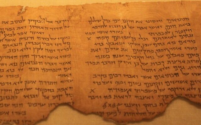 Section of the Pesher Habakkuk scroll, as displayed in the Israel Museum, Jerusalem. (Wikipedia Commons)