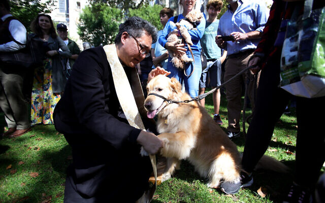 A priest blesses a pet during the Blessing of the Animals after the St. Francis Day Service at the Cathedral of St. John the Divine in New York City on October 01, 2023. (Leonardo Munoz / AFP)