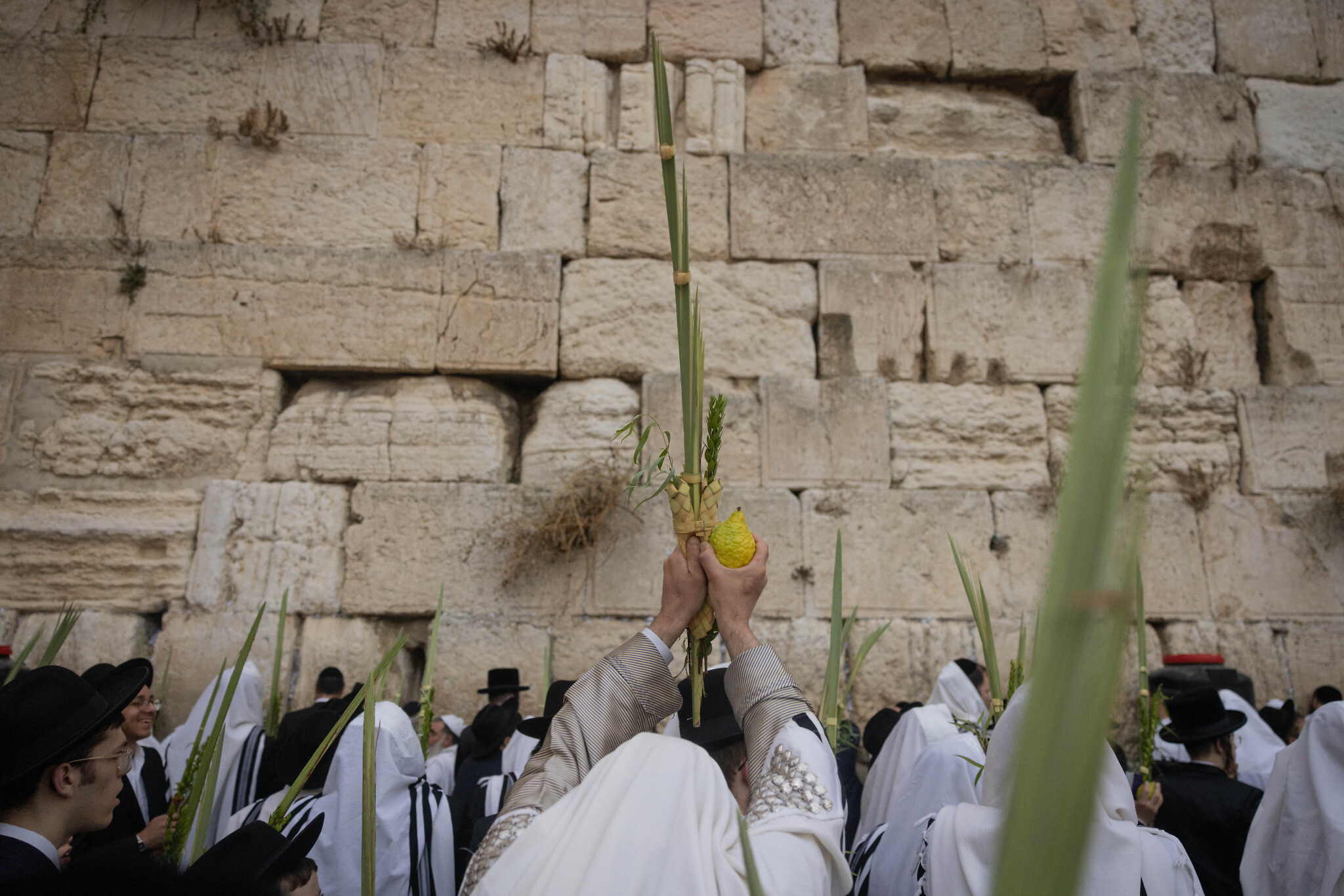 Priestly Blessing Western Wall Jerusalem - 16x20 Gallery Wrapped Can – I  Am Israel
