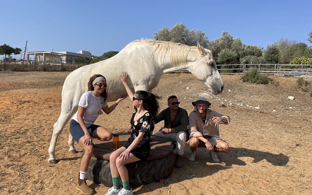 Supernova trance party survivors give Tzlil a good scratch as they bond at the Dror family's horse farm at Moshav Ofer in northern Israel, October 31, 2023. (Sue Surkes/Times of Israel)