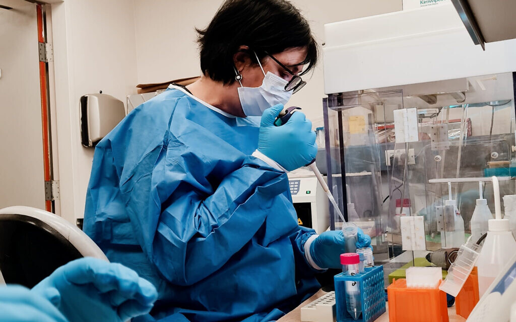 Prof. Gila Kahila Bar-Gal assisting with DNA extraction and amplification at the National Center of Forensic Medicine (Abu Kabir), November 2023. (Courtesy)