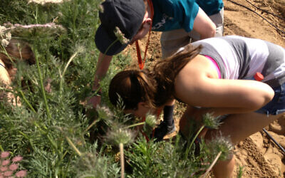Students at 'The Salad Trail' in southern Israel. (Chabad at University of Central Florida)