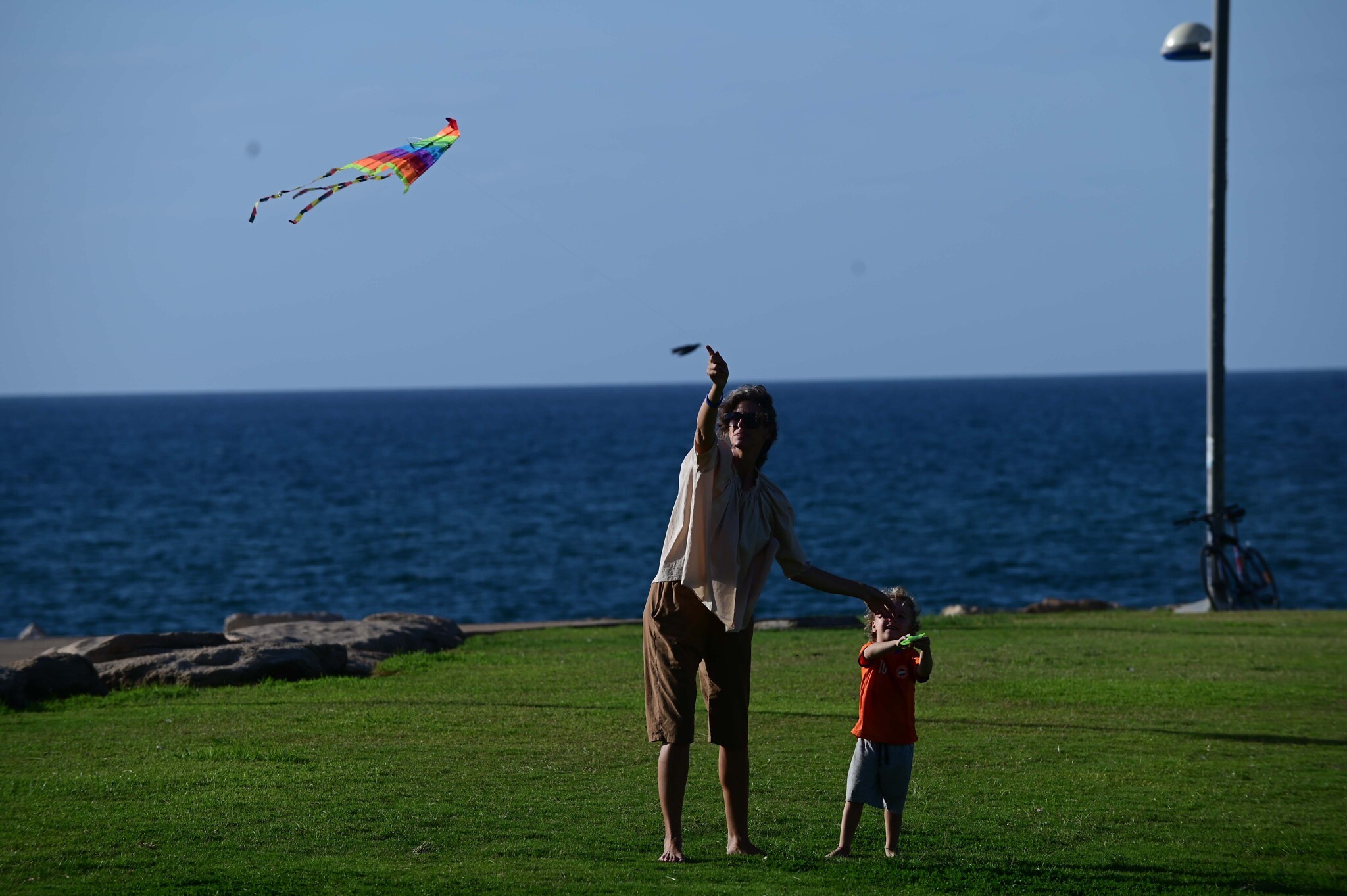 people flying kites on the beach