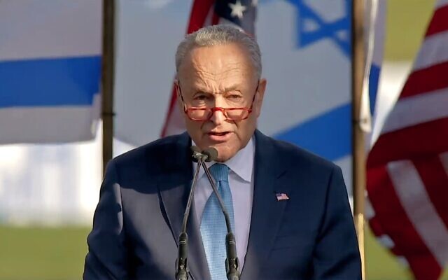 Senate Majority Leader Chuck Schumer speaks at a pro-Israel rally in Washington on November 14, 2023. (Screen capture/YouTube)