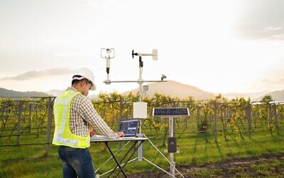 Illustrative. An agronomist with equipment to measure the wind speed, temperature, humidity, and solar cell system in a field of grapevines. (Kinwun, iStock by Getty Images)