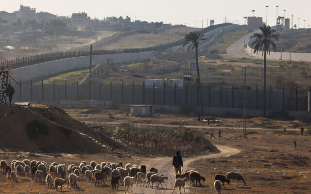 A shepherd leads a flock of sheep in Rafah near the border with Egypt in the southern Gaza Strip on January 16, 2024, amid the ongoing war between Israel and the Palestinian terror group Hamas. (AFP)