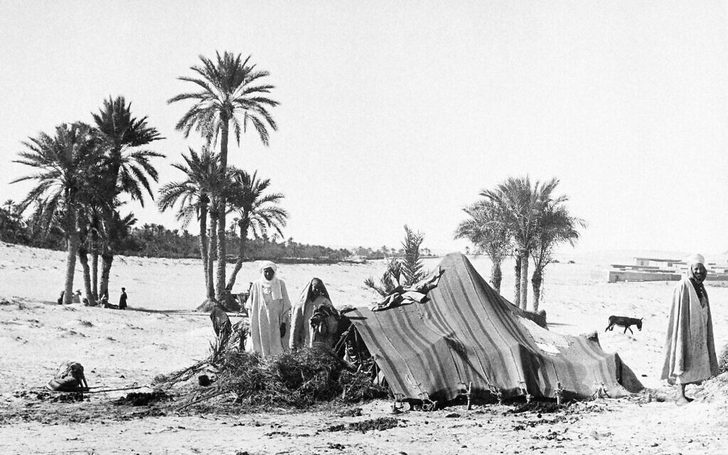 Bedouins pitch their tent on the sands under palm trees in southern Tunis, Tunisia on November 12, 1942. (AP Photo)
