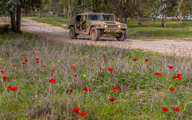 Soldiers drive by anemones at a forest near the Israeli border with the Gaza Strip, on January 21, 2024 (Liron Moldovan/Flash90)