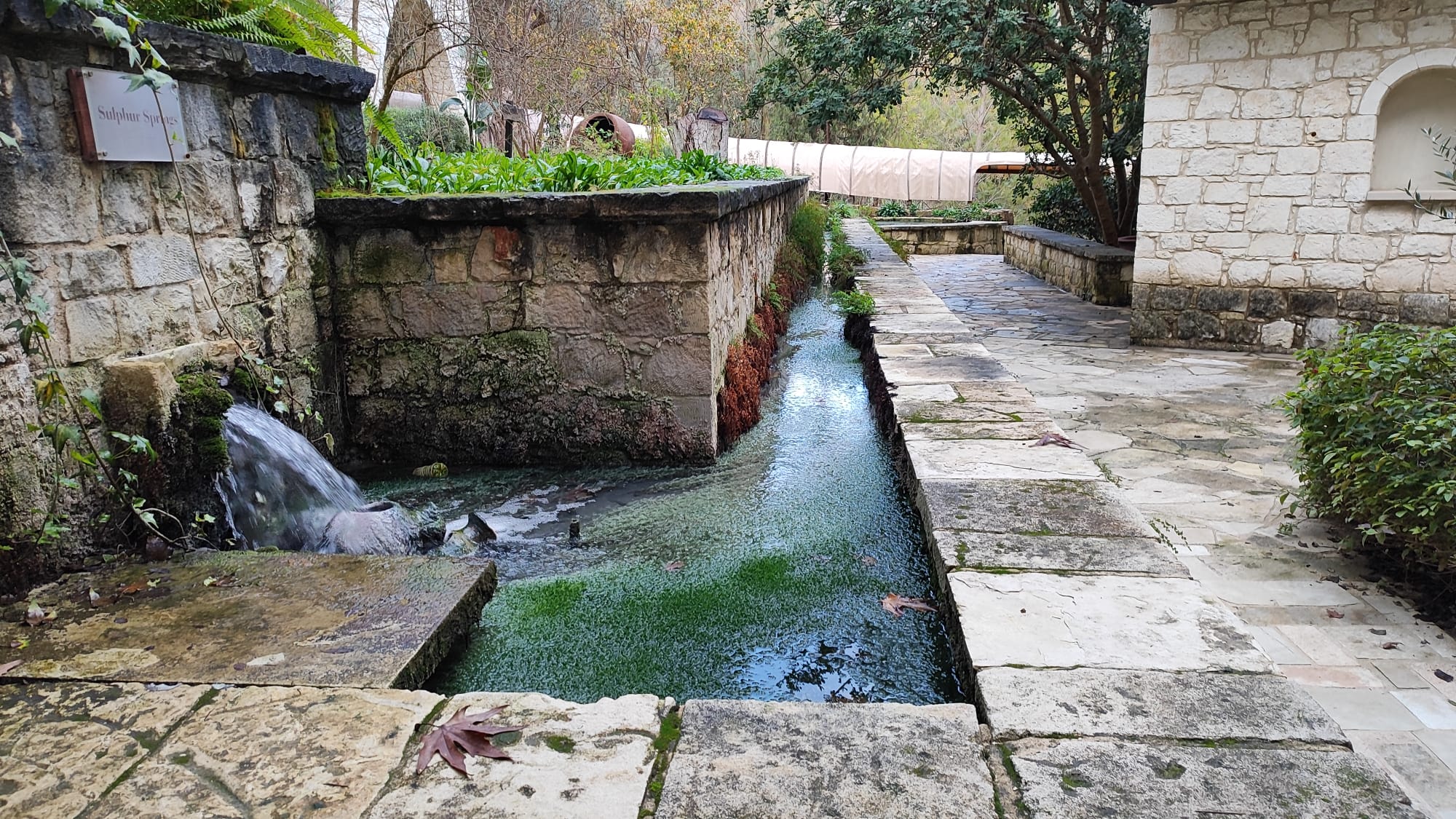 Courtyard spring at the Secret Forest retreat center in Cyprus, on January 19, 2024. (Gavriel Fiske/TOI)
