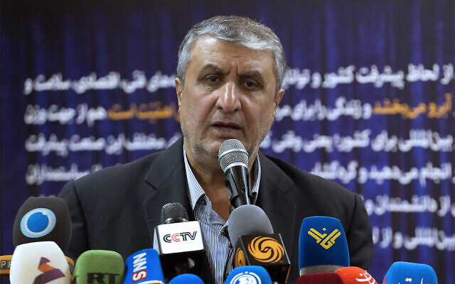 Head of Iran's atomic energy department Mohammad Eslami speaks during a news conference after unveiling domestically-developed nuclear medicines in an exhibition of the country's nuclear achievements, in Tehran, Iran, December 12, 2023. (AP Photo/Vahid Salemi)