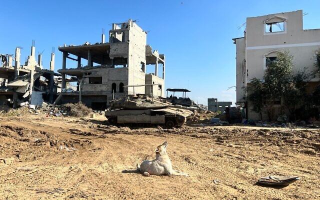 An IDF tank operates south of Gaza City, February 20, 2024 (Lazar Berman/The Times of Israel)