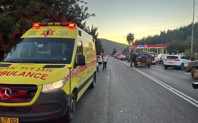 Medics respond to a deadly shooting terror attack near the West Bank settlement of Eli, February 29, 2024. Two people were killed in the attack. (MDA)