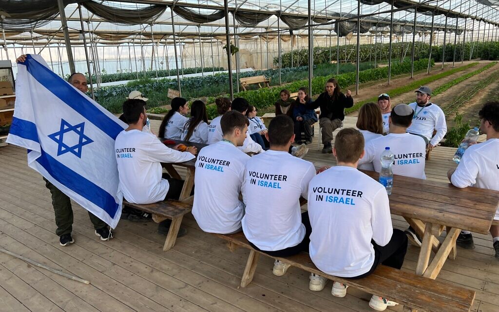 Birthright Israel alumni volunteers at the Bein Hashitin farm. (Birthright Israel)