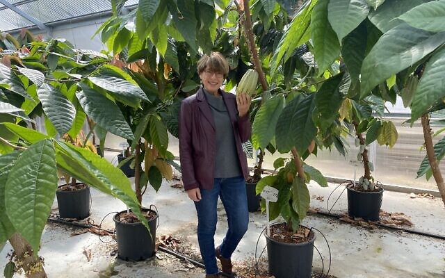 Ellen Graber poses with one of her cacao plants at the Volcani Center in central Israel. (Courtesy: Ellen Graber)