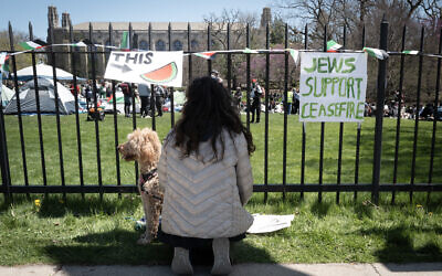 Students gather at the Gaza Solidarity Encampment on the campus of Northwestern University on April 25, 2024 in Evanston, Illinois. (Scott Olson/Getty Images/AFP)