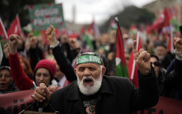 Image - Illustrative: An anti-Israel, pro-Palestinian protest rally in Istanbul