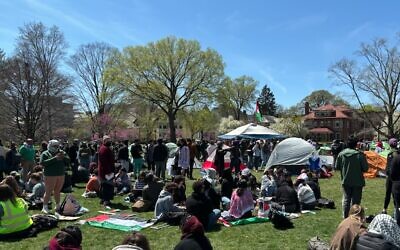 Students gather at the Gaza Solidarity Encampment on the campus of Northwestern University on April 25, 2024 in Evanston, Illinois. (Jacob Magid/Times of Israel)