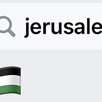 Palestine flag emoji on an Apple device (via Social media)