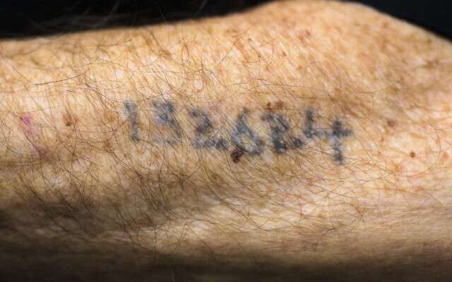 Illustrative: An Auschwitz survivor shows his tattooed number in Lueneburg, Germany, July 15, 2015 (AP Photo/Markus Schreiber, File)
