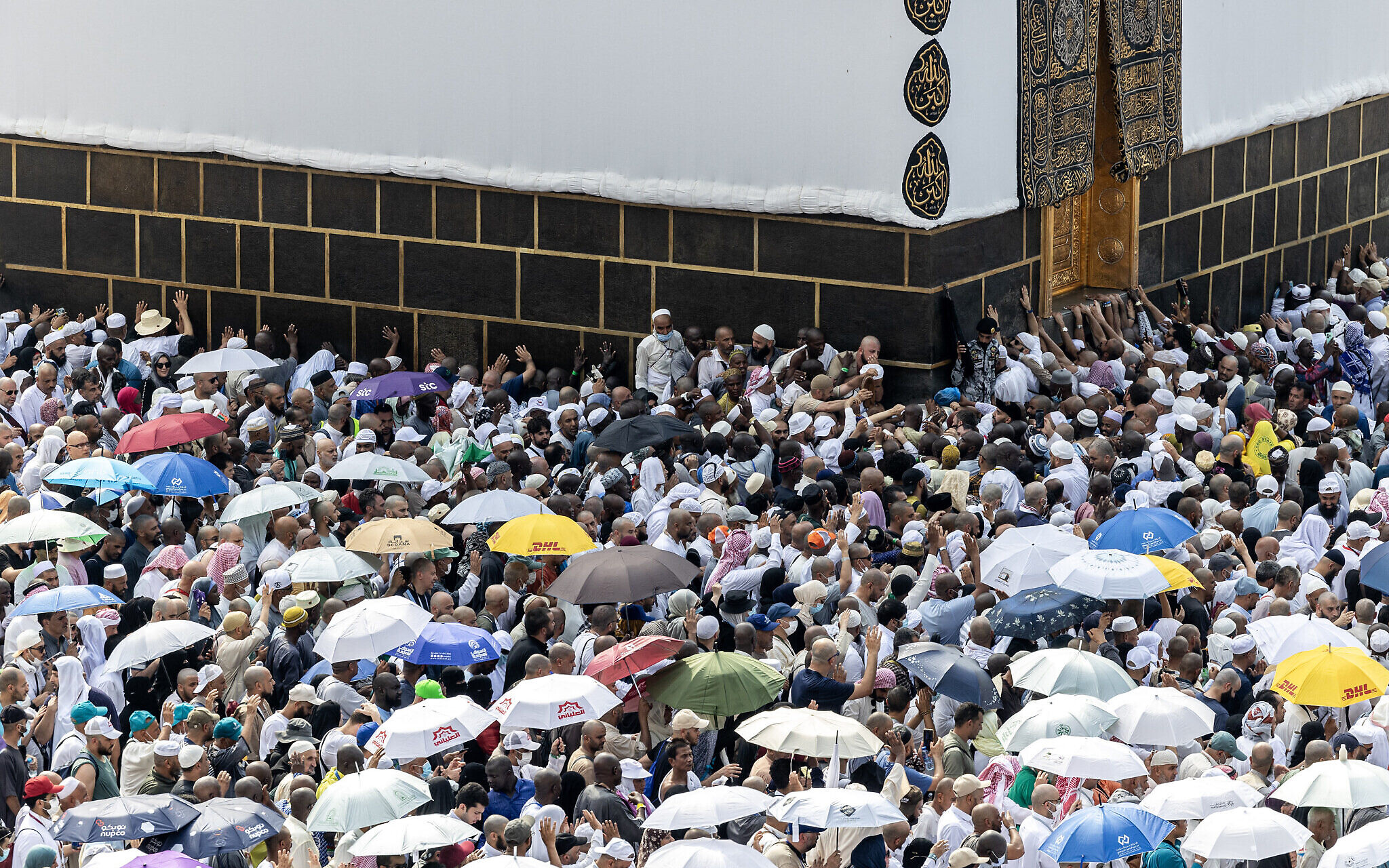 Hajj Pilgrims: ਹੱਜ ਲਈ ਮੱਕਾ ਗਏ 550 ਸ਼ਰਧਾਲੂਆਂ ਦੀ ਇੱਕ ਹਫ਼ਤੇ 'ਚ ਮੌਤ, ਸਭ ਤੋਂ ਵੱਧ ਇਸ ਦੇਸ਼ ਦੇ ਨਾਗਰਿਕ